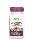 Nature's Way, Echinacea Astragalus & Reishi, 400 mg, 100 Vegan Capsules
