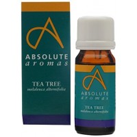 Absolute Aromas Tea Tree Essential oil, 10ml 